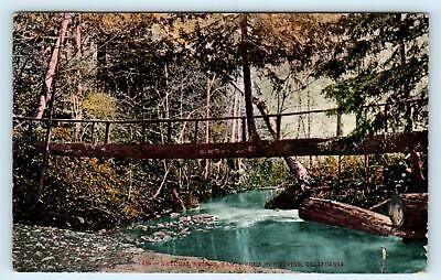 SANTA CRUZ Area, CA California ~ NATURAL LOG BRIDGE  c1910s  Mitchell  Postcard