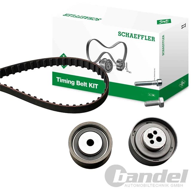 Polyester Gurte Set - Strapazierfähige Cinghie Für Outdoor