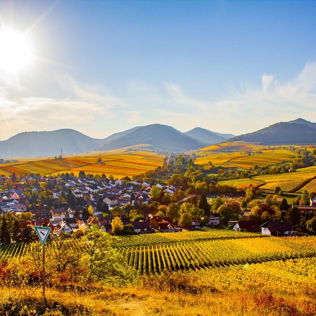 4 Tage Wandern & Wein Bad Dürkheim | Kurztrip Pfalz 2P + Frühstück Gutschein