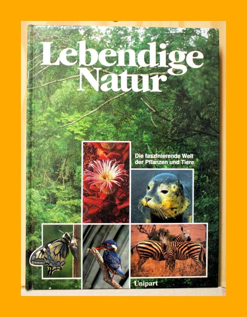 Ausmalbilder Biologie: Entdecke die faszinierende Welt der Natur mit Stift und Farbe!