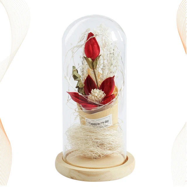 Luce Fiori LED Incantati Per Natale Luce Notturna
