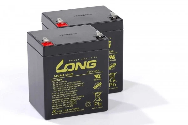 Batteria compatibile sollevatore Primo Cielo V4 2x 12V 4,5Ah AGM piombo medico esente da manutenzione