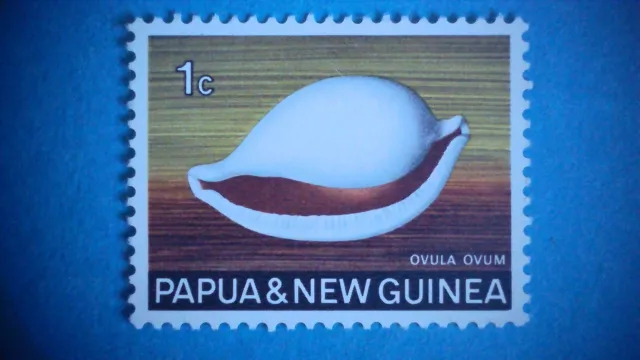 Papua New Guinea 1969. 1c Sea Shells. SG137. MNH. P12½ x 12.