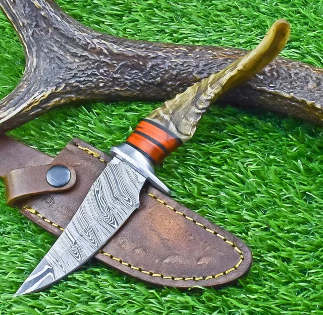 Acero Damasco Forjado a Mano 8,50" personalizado, cuchillo de caza, cuchillo de camping, ex-7170