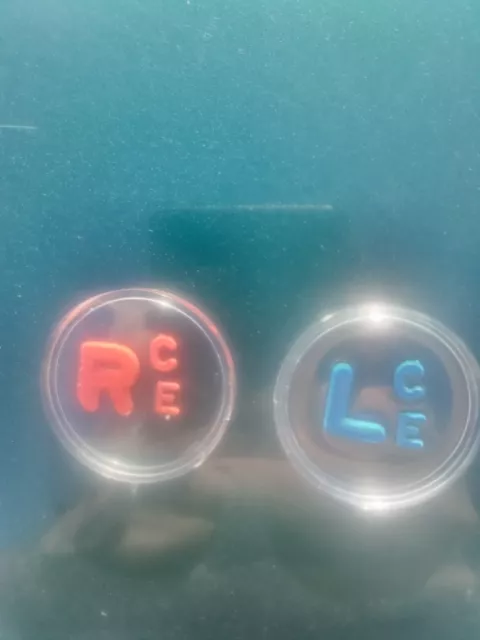 Xray Markers With Initials CE Ready To Ship!