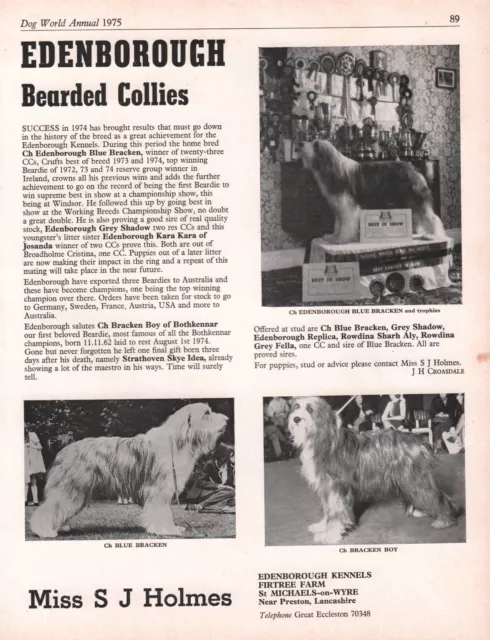Bearded Collie Dog World 1975 Breed Kennel Advert Print Page Edenborough Kennel