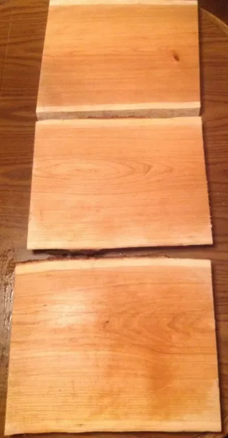 3-Black Cherry Live Edge Slabs 13 1/2"x10 1/2-11 1/2"X1"Great fish clean boards
