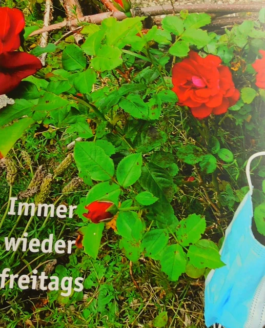 Andachtsbuch Immer wieder freitags Christliches Tagebuch Andachtstagebuch