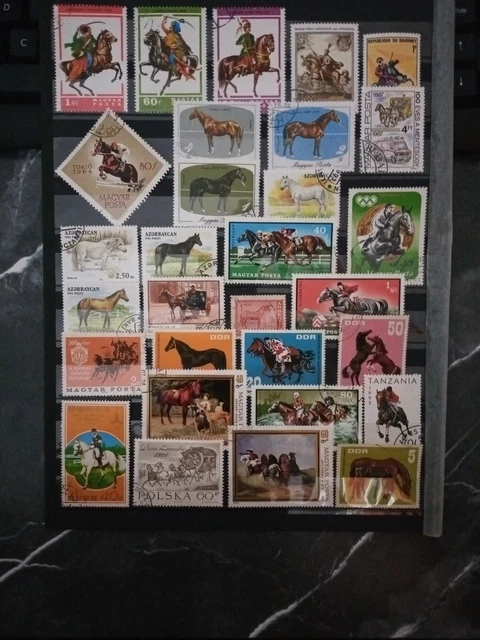 Pferde Reiter Briefmarken Sellos Stamps Timbres