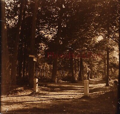FRANCE Oise Chantilly La Forêt c1930 Photo Plaque de verre Stereo Vintage V15n