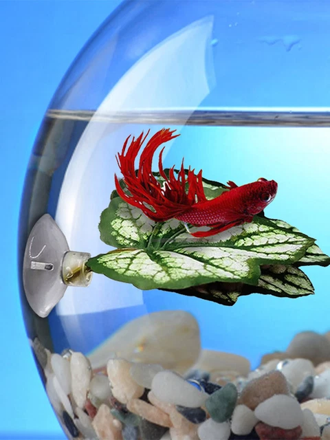 Betta Fish Leaf Pad With Suction Cup Fish Hammock Aquarium Fish Tank Decoration