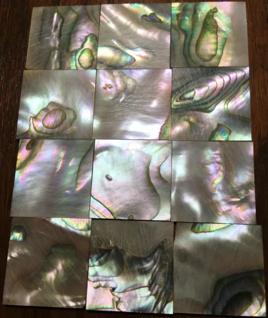 29.0 grams (12pcs) Abalone Fretboard Inlay NOS Gibson Kalamazoo Factory Lot-8