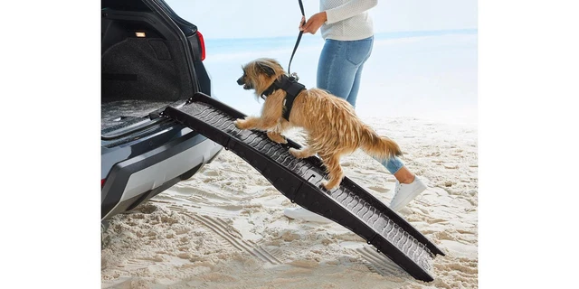 ZOOFARI® Hunderampe faltbar mit Tragegriff Einstieghilfe Auto max. 40 kg 4