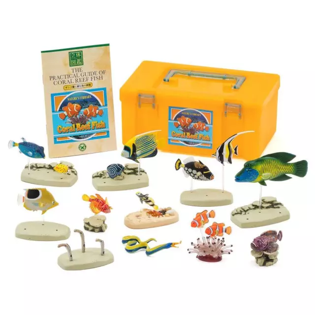 Carolata 3D Picture Book, 12 Species of Fish, Real Figure Box, Coral Reef Fish C