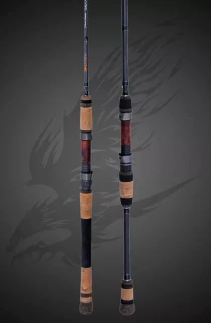 Shimano Saragosa SW8000 HG Saltwater With Phenix AXIS HAX-S780H Fishing Rod