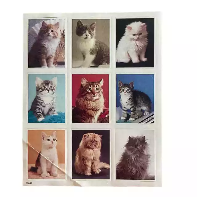Vintage Cat Stickers American Greeting NEW Kittens Cats