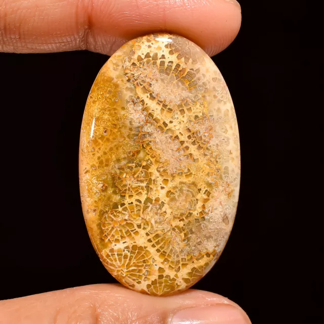 Natural Fossil Coral Oval Shape Cabochon Loose Gemstone 30.5 Ct. 38X23X4 mm A-91