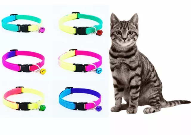 Cat's / Kitten's Adjustable, Strong, Luminous/Rainbow Coloured Collar With Bell