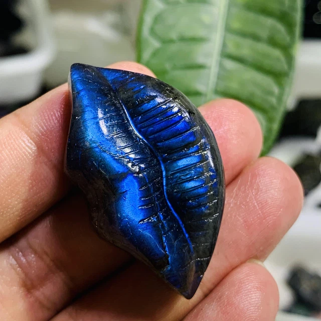 Natural Hand Carved Labradorite lip Quartz Skull Crystal Reiki Healing Gift 1PC