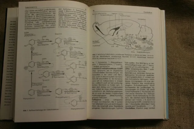 Lexikon Neurobiologie Nervensystem Neurologie Neurowissenschaften DDR 1988 3