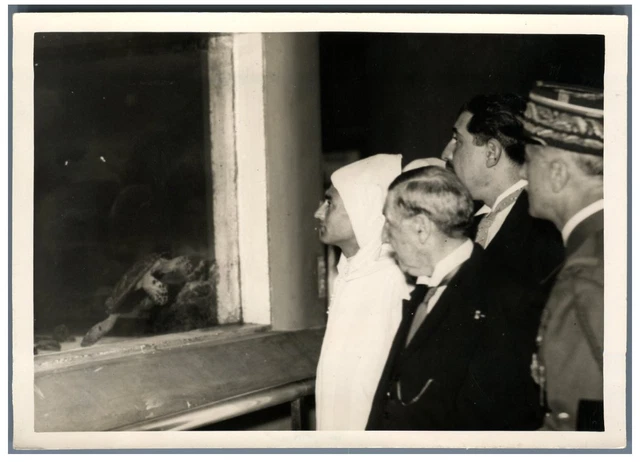 Tirage Photo Argentique Vintage Paris La Nuit Du Ski - Années 1930, Format 13x18 Cm