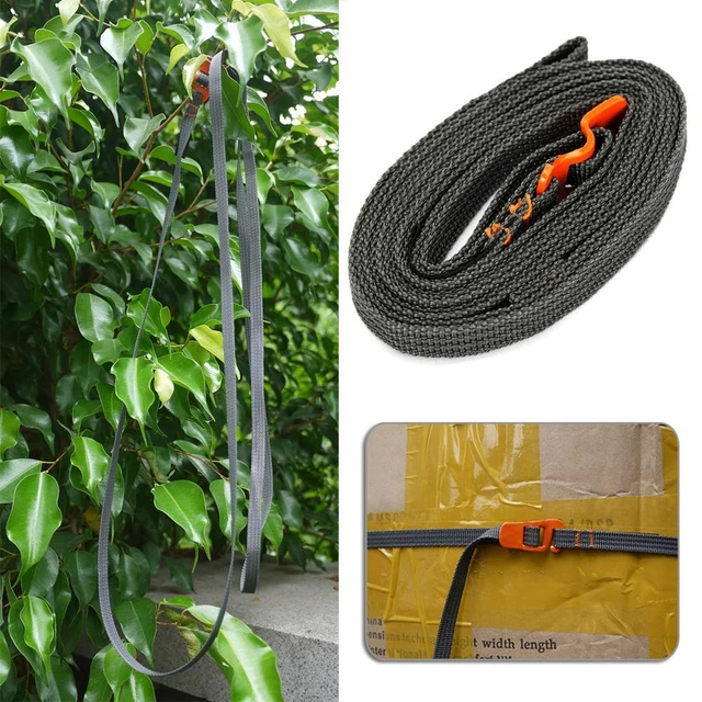 Schnalle Zurrgurt Auto Cargo Strap Ratsche Gepäck Zurrgurte (Orange)