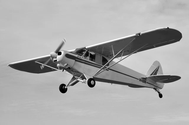 Piper PA-18 Super Cub 74" WS Model RC Airplane PLANS TEMPLATES PDF on USB Piper PA-18 Super Cub 74" WS Model RC Airplane PLANS TEMPLATES PDF on USB
