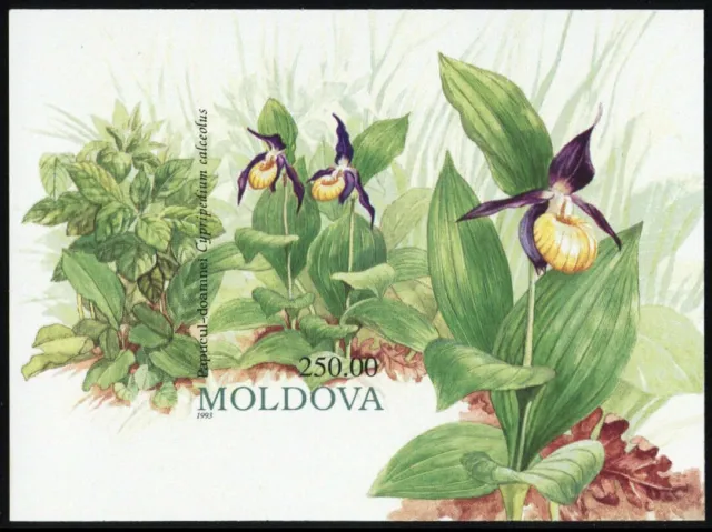 1993, Moldawien, Block 4 U, ** - 2882225