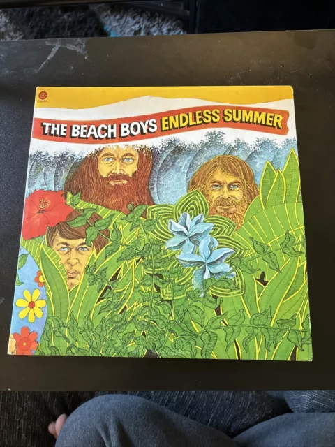 Beach Boys - Endless Summer 2LP