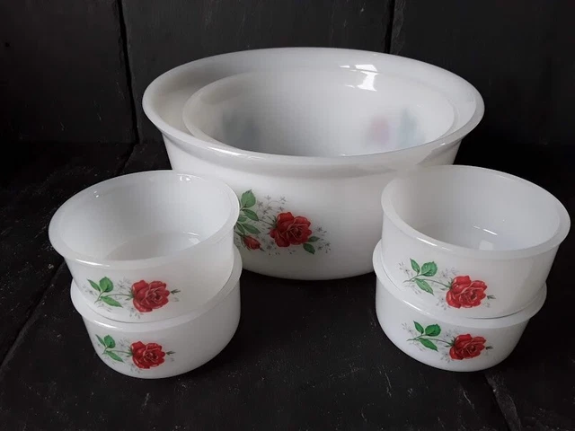 Service à Dessert Limoges - Saladier + 8 Coupelles Porcelaine - Motif Fruits