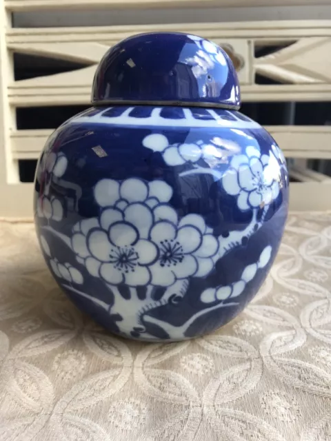 Chinese Lidded Ginger Jar Blue White Prunus Blossom Large