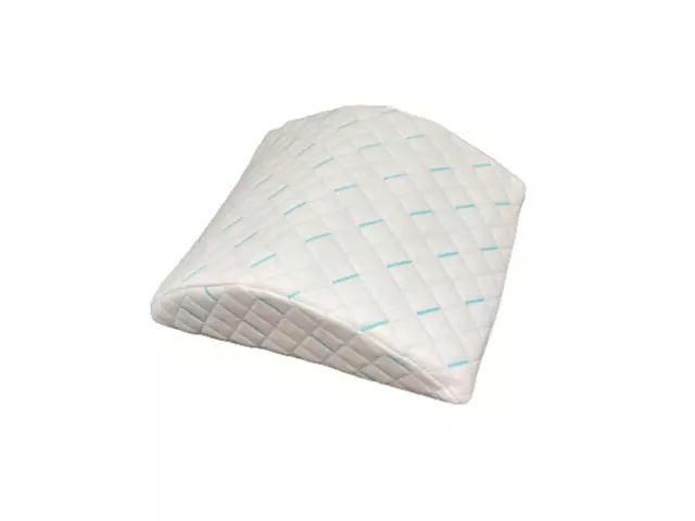 Memory Foam Lumbar Back Support Cushion Waist Pillow for Chair Office Home Car