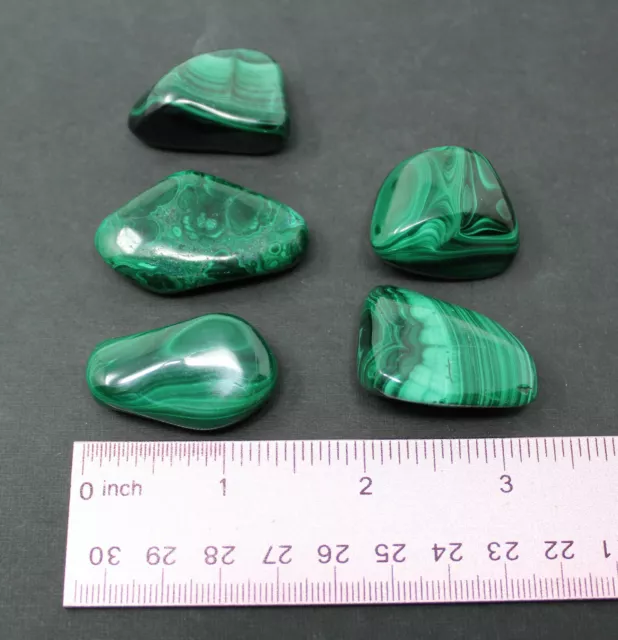5 LARGE Malachite Tumbled Stones 1" - 1.25" (Crystal Healing Reiki Gemstone)