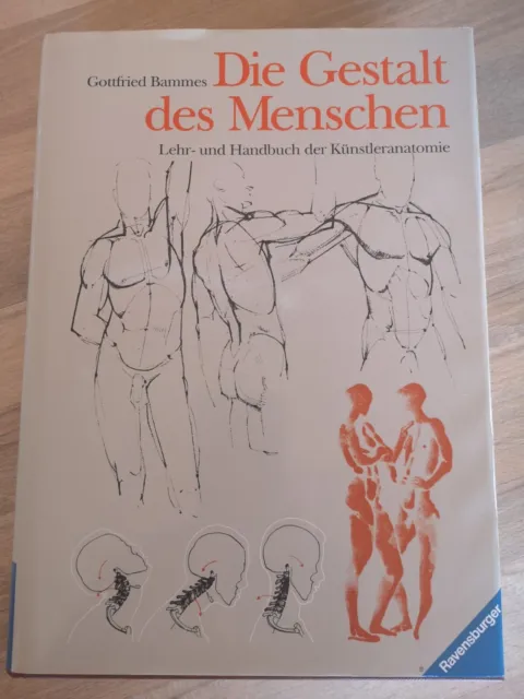 G. Bammes - Die Gestalt des Menschen - Lehr- und Handbuch der Künstleranatomie