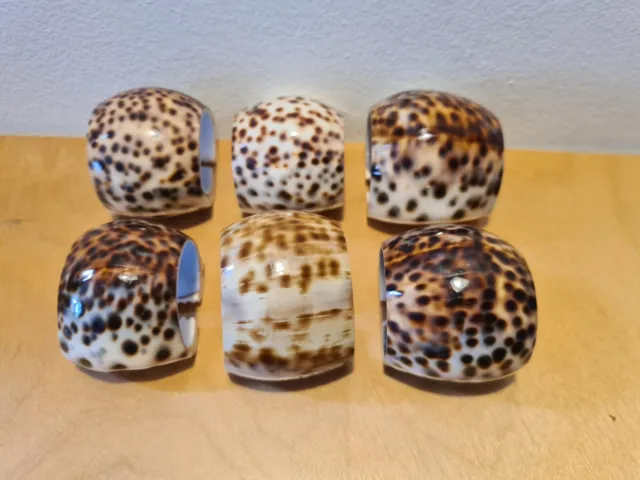 Natural Tiger Cowrie Shell Napkin Rings x 6 Sea Shells (small)
