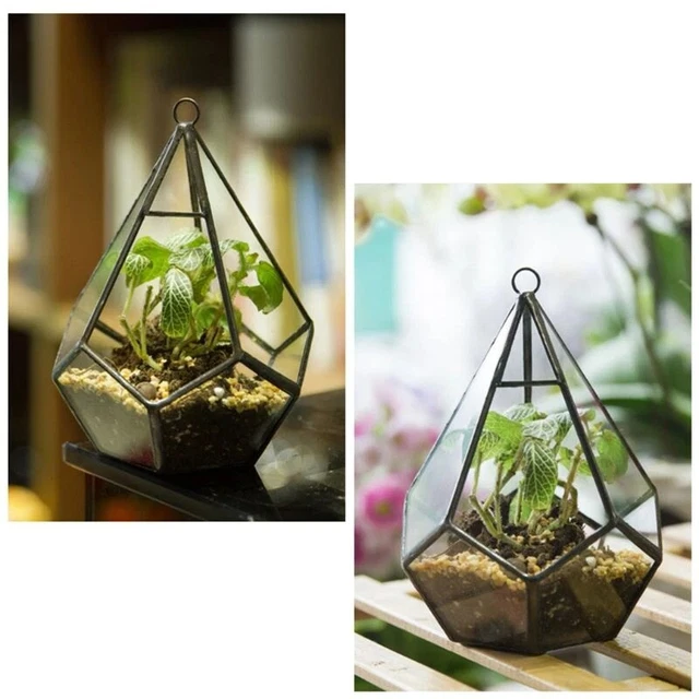 Hanging Glass Terrarium Modern Artistic Wall Tears Shape Desk Planter