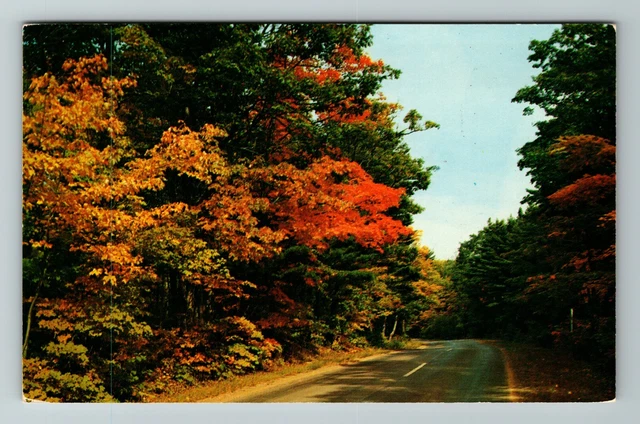 Iron River MI- Michigan, Scenic Greetings, View Road, Vintage Postcard