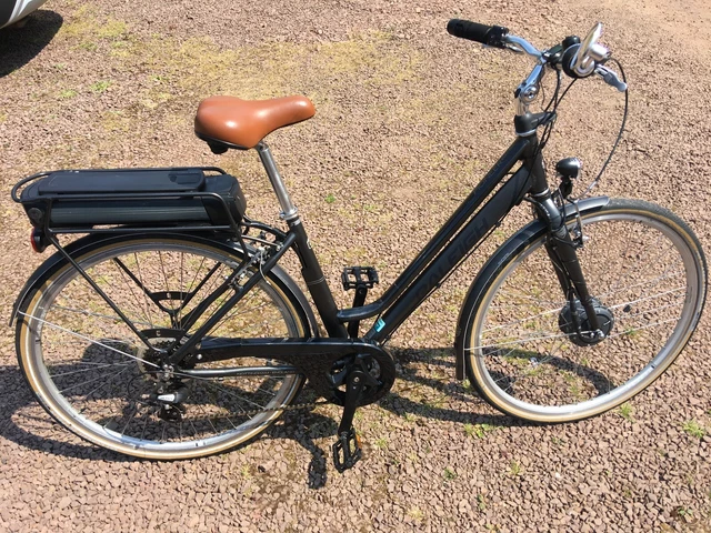 Raleigh pioneer electric bike sales