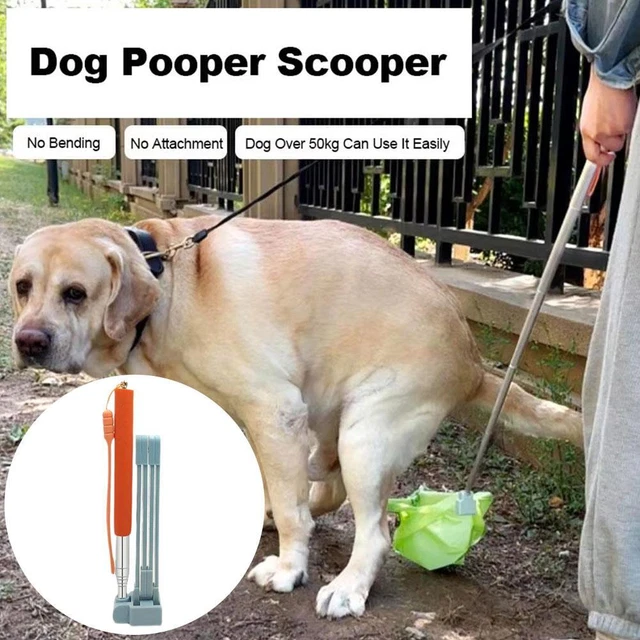 DOG POOP PICKER All Purpose Portable Doggy Pooper Scooper Lot E7 Z6D5 ...