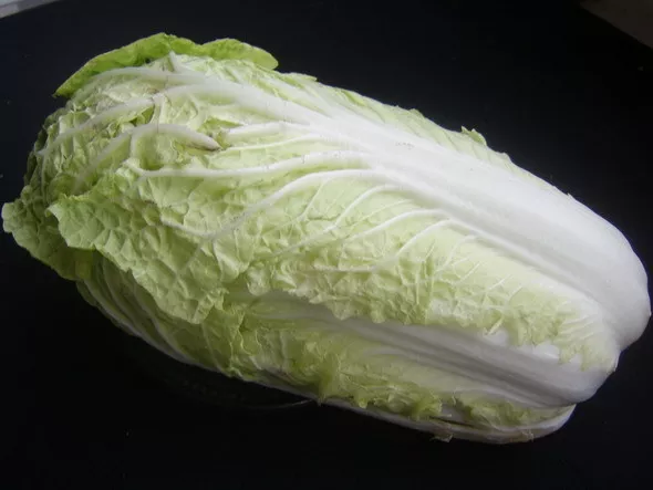 300 graines CHOU PE TSAÏ (Br. Pekinensis MICHIHILI )H835 CHINESE CABBAGE SEEDS