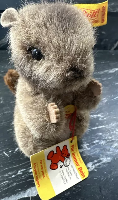 Vintage Steiff Piff Woodchuck / Marmot 5. 5 " 1476/12 All Tags And Button