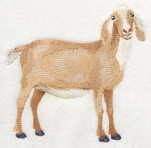 Embroidered Ladies Jacket - Nubian Goat #3 J7278 Sizes S - XXL