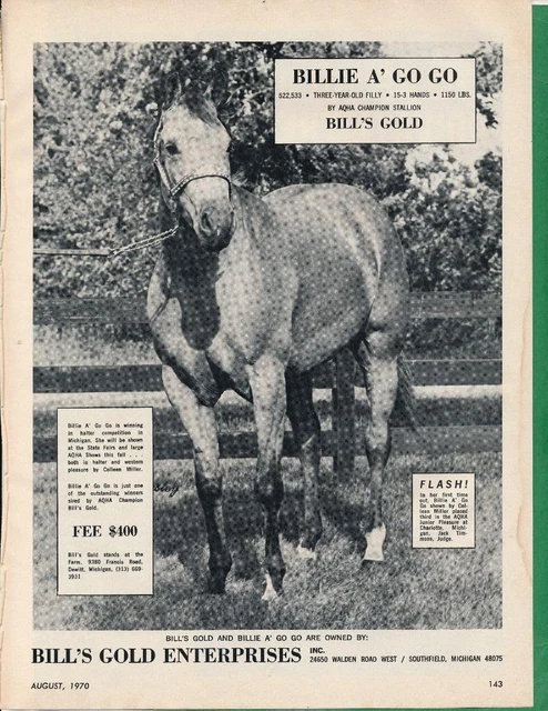 Magazine Ad - 1970 - Bill's Gold Horse Farm - Southfield, MI - BILLIE A' GO GO