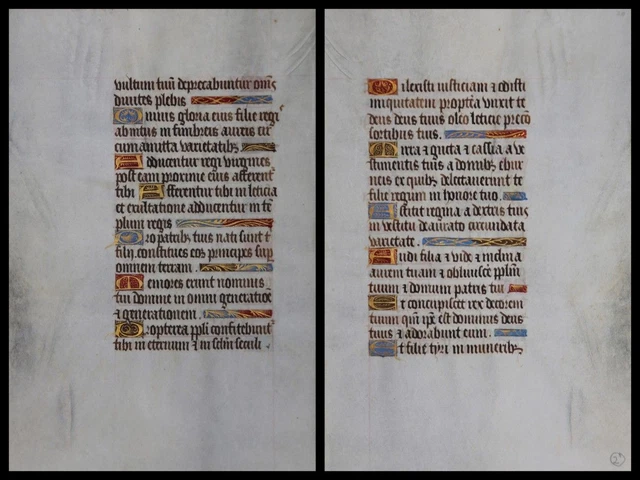 Illuminierte Grafia Su Pergamena Foglia Di Uno Miniatura Um 1500 (116)