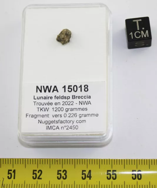 Météorite Lunaire NWA 15018 - Feldspathic Breccia ( 0.226 gramme - 007 ** )