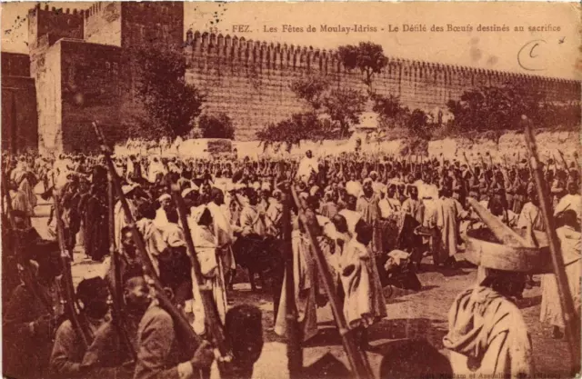 CPA AK FEZ Les Fetes de Moulay-Idriss Le Defilé des Boeufs MOROC (689625)