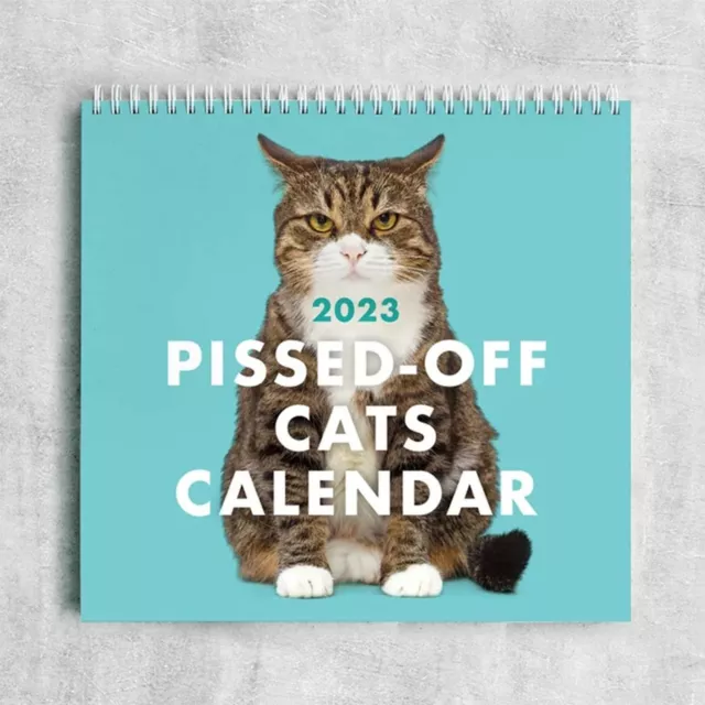 2023-pissed-off-cats-calendar-funny-cat-wall-calendar-au-22-19-picclick