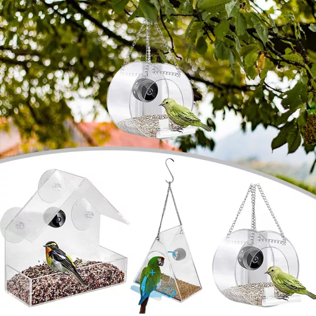 Alimentatore Smart Bird trasparente con fotocamera Bird House alimentatore per animali domestici telecomando WiFi