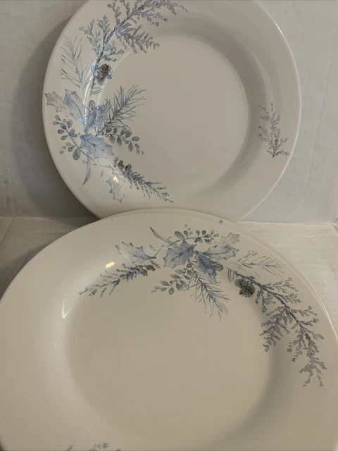 Pfaltzgraff Winter Frost 11" Dinner Plates  Set Of 4