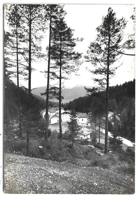 CARTOLINA TRENTO ,STAVA DI TESERO - viaggiata 1965